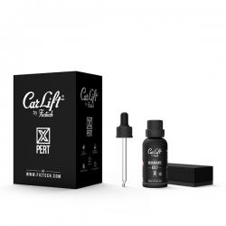 CAR LIFT REGENERATE